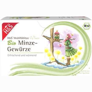 H&s Wintertee Bio Minze- Gewürze 20 x 2.0 g - ab 3,41 €