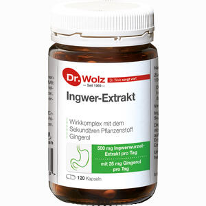 Ingwer- Extrakt Dr.wolz Kapseln 120 Stück - ab 17,73 €