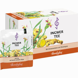 Ingwertee Filterbeutel 20 Stück - ab 2,93 €