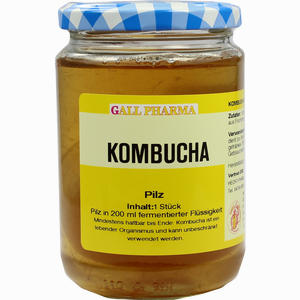 Kombucha Teepilz HECHT PHARMA 1 Stück - ab 13,99 €