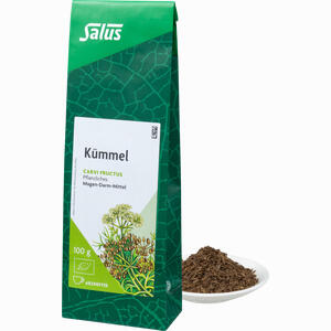 Kümmel Arzneitee Carvi Fructus Bio Salus Tee 100 g - ab 3,80 €