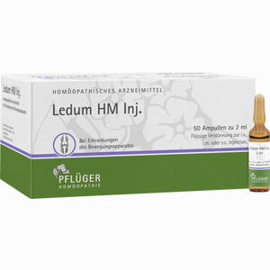Ledum Hm Inj. Ampullen 50 Stück