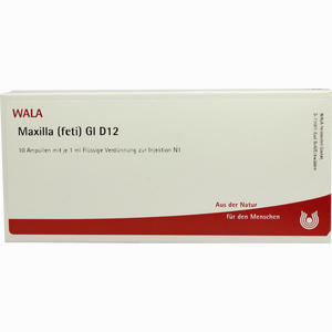 Maxilla (feti) Gl D12 Ampullen 10 x 1 ml - ab 0,00 €
