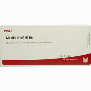 Maxilla (feti) Gl D5 Ampullen 10 x 1 ml - ab 0,00 €