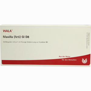 Maxilla (feti) Gl D8 Ampullen 10 x 1 ml - ab 0,00 &euro;