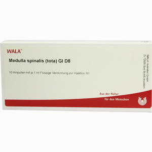 Medulla Spina (tot) Gl D8 Ampullen 10 x 1 ml - ab 0,00 &euro;