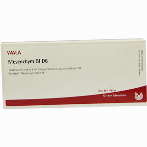 Mesenchym Gl D6 Ampullen 10 x 1 ml - ab 20,14 €