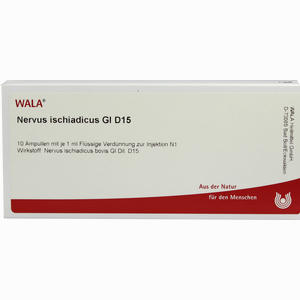 Nervus Ischiadicus Gl D15 Ampullen 10 x 1 ml - ab 20,26 €