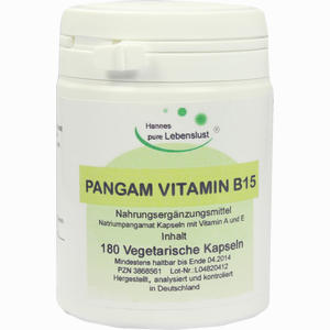Pangam Vitamin B15 Vegi Kapseln  180 Stück - ab 18,06 €