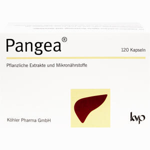 Pangea Kapseln 120 Stück - ab 26,03 €