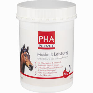 Pha Muskel & Leistung für Pferde Pulver 850 g - ab 23,97 €