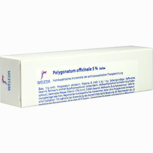 Polygonatum Officinale 5% Salbe  25 g - ab 0,00 €
