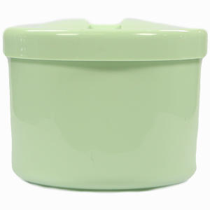 Prothesenbehälter Aus Kunststoff mit Deckel und Einsatz Grün 1 Stück - ab 1,95 €