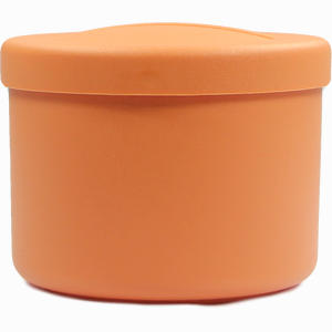Prothesenbehälter Aus Kunststoff mit Deckel und Einsatz Lachsrot 1 Stück - ab 0,00 €