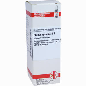 Prunus Spinos D6 Dilution 20 ml - ab 10,45 €