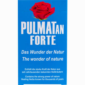 Pulmatan Forte Bonbon 100 g - ab 0,00 &euro;