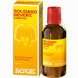 Solidago Hevert Complex Tropfen 100 ml - ab 25,56 €