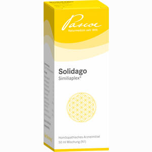 Solidago Similiaplex Tropfen 50 ml - ab 0,00 €