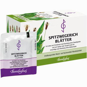 Spitzwegerichblätter Tee Filterbeutel 20 Stück - ab 2,70 &euro;