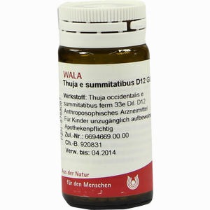 Thuja E Summitatibus D12 Globuli 20 g - ab 7,56 €