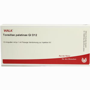Tonsillae Palatinae Gl D12 Ampullen 10 x 1 ml - ab 0,00 &euro;