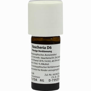 Vaucheria D6 Dilution 20 ml - ab 0,00 €