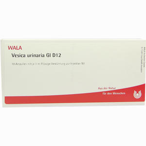 Vesica Urinaria Gl D12 Ampullen 10 x 1 ml - ab 0,00 €
