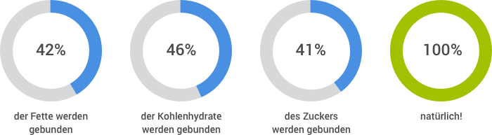 Refigura bindet Zucker, Fett und Kohlenhydrate