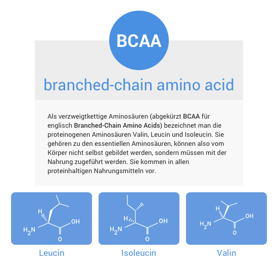 Die Aminosäure BCAA