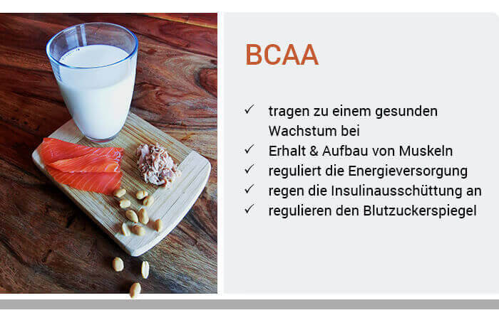 Funktionen von BCAA