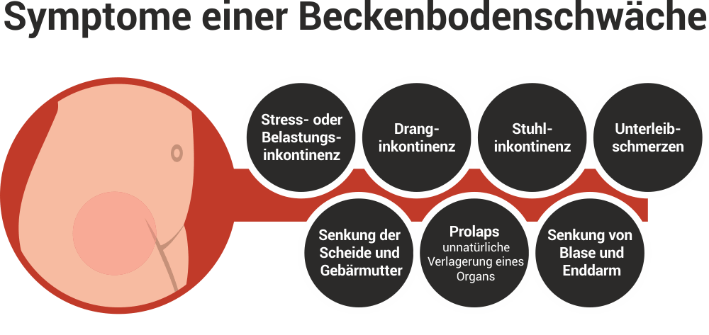 Mann beckenmuskulatur Beckenbodentraining für