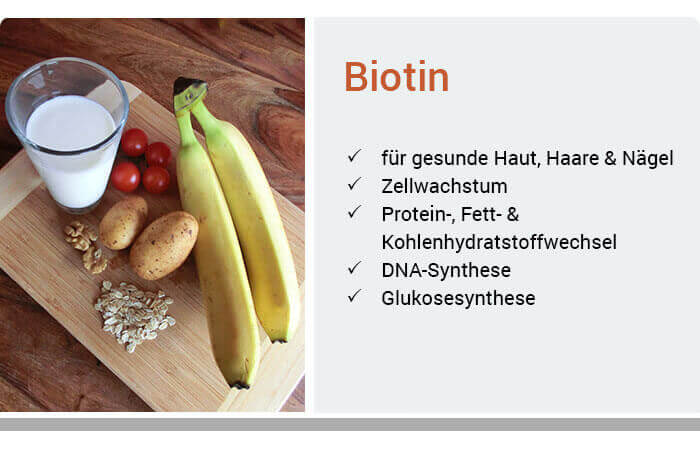 Funktion von Biotin