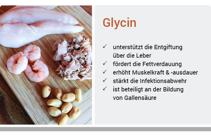 Funktionen von Glycin