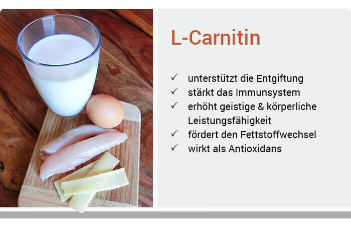 L-Carnitin Wirkung Körper