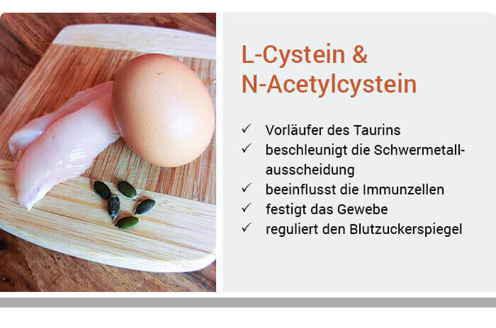 Funktionen von L-Cystein