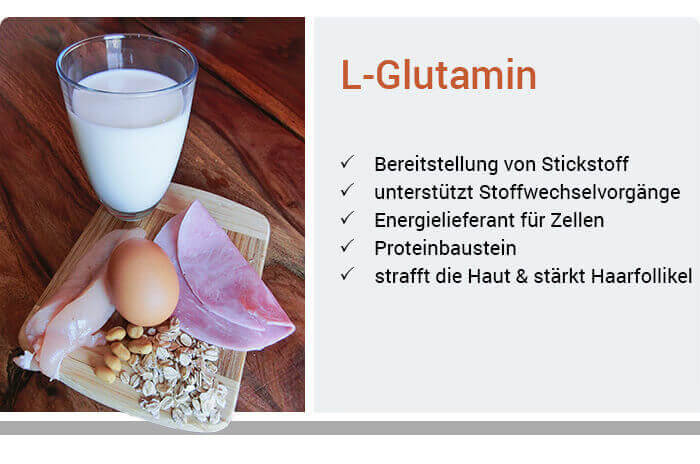 Funktionen von L-Glutamin