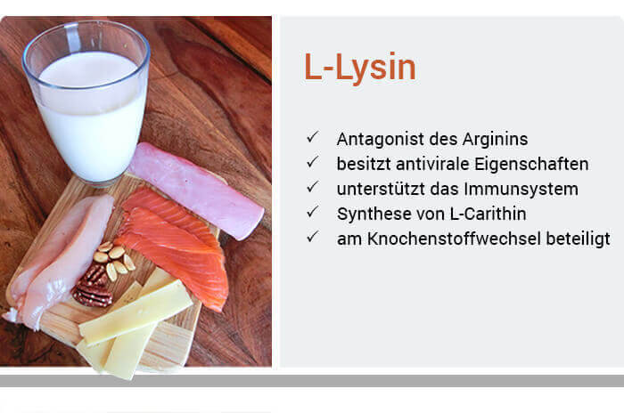 Funktionen von L-Lysin