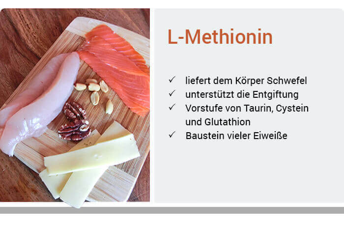 Funktionen von L-Methionin
