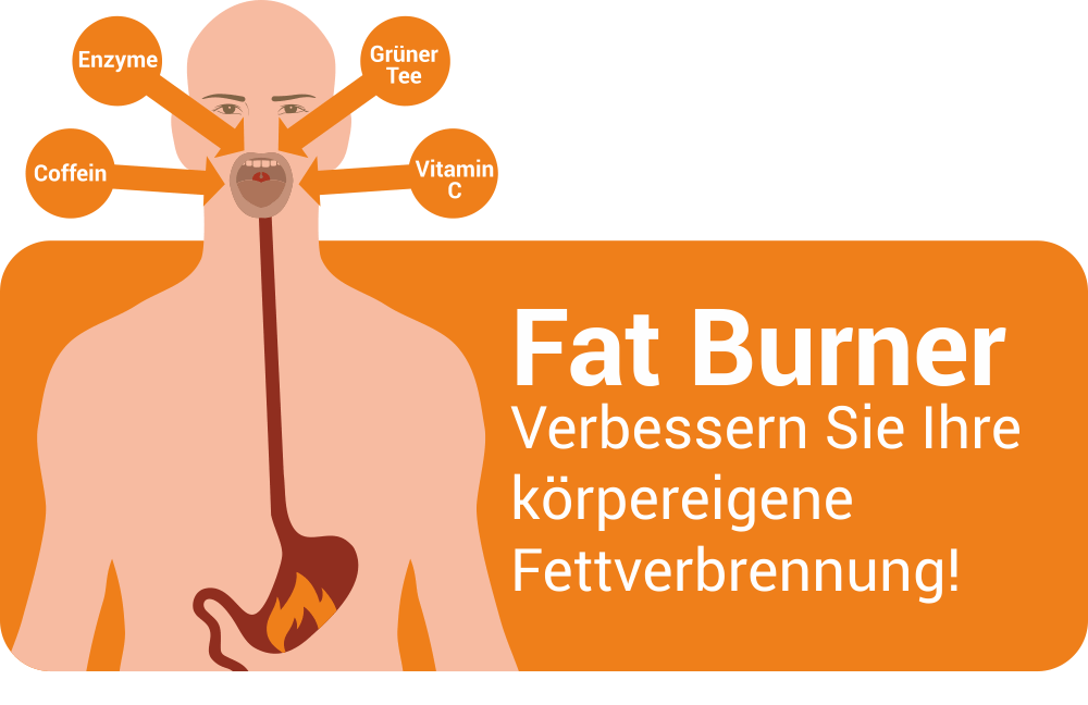 Mit Fatburnern die Fettverbrennung verbessern