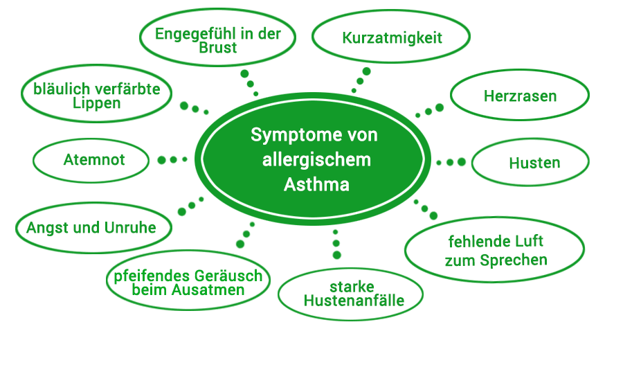 Symptome bei allergischem Asthma