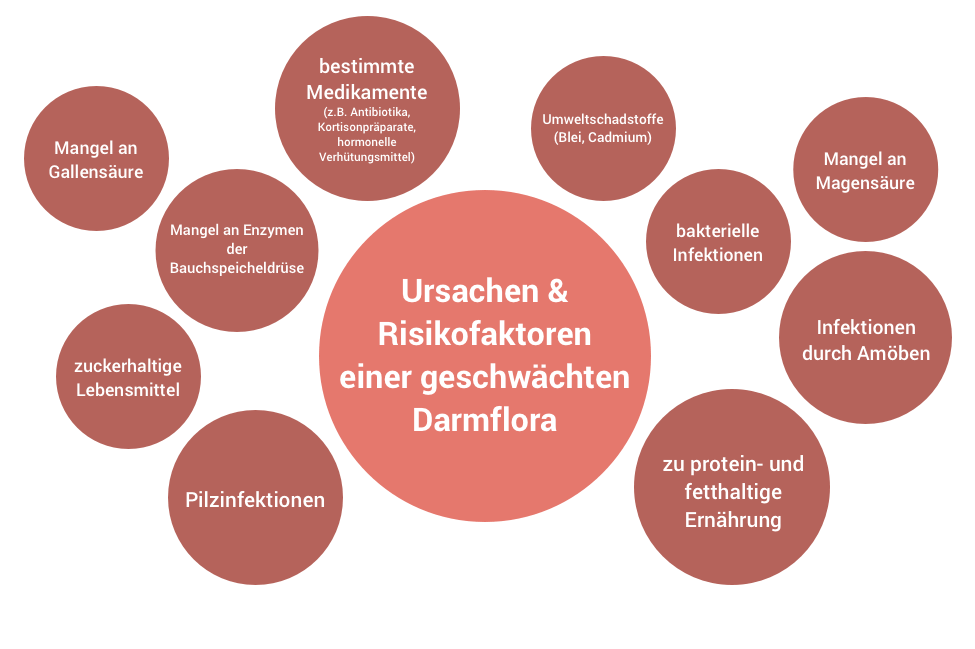 Darmflora Aufbauen Nach Antibiotika Präparate