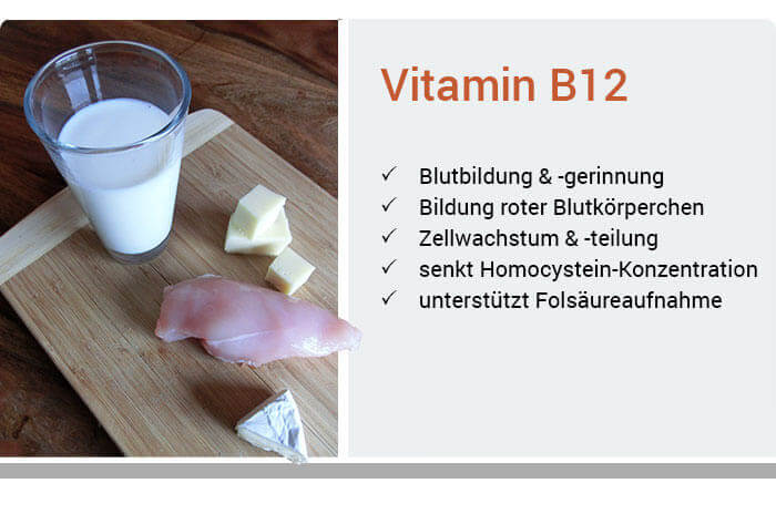 Funktionen von Vitamin B12