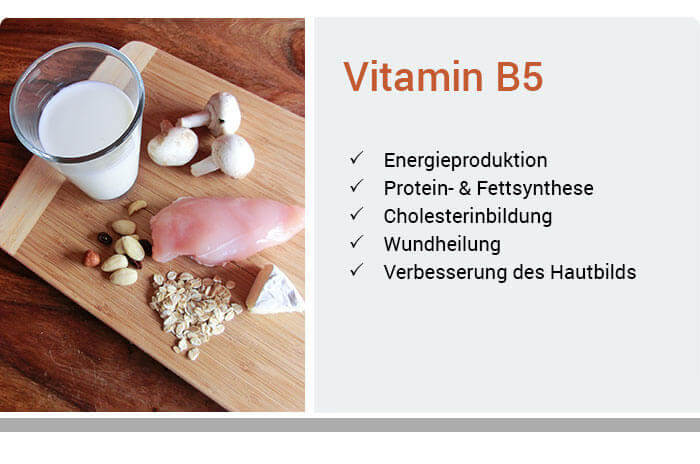 Funktionen von Vitamin B5